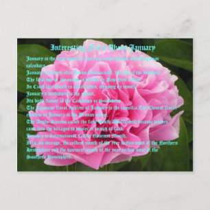 Cartão Postal Fatos interessantes sobre janeiro