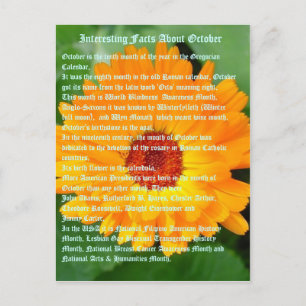 Cartão Postal Fatos Interessantes Sobre Outubro