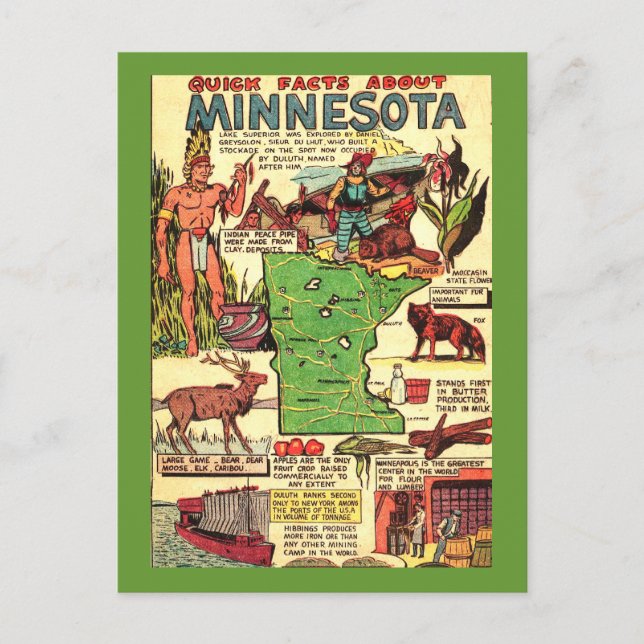 Cartão Postal Fatos Rápidos Sobre Minnesota (Frente)