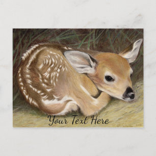 Cartão Postal Fawn