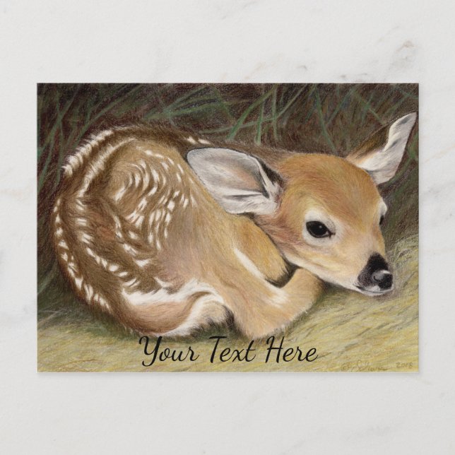 Cartão Postal Fawn (Frente)