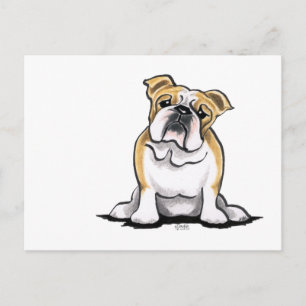 Cartão Postal Fawn White Buldogue Sit Bonito