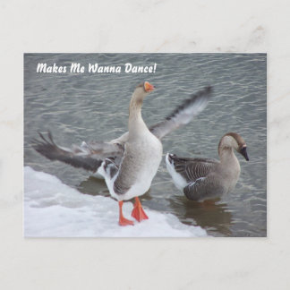 Cartão Postal Faz-me querer dançar!