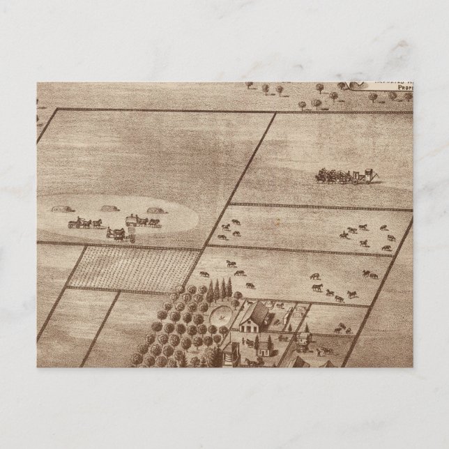 Cartão Postal Fazenda Bertch (Frente)