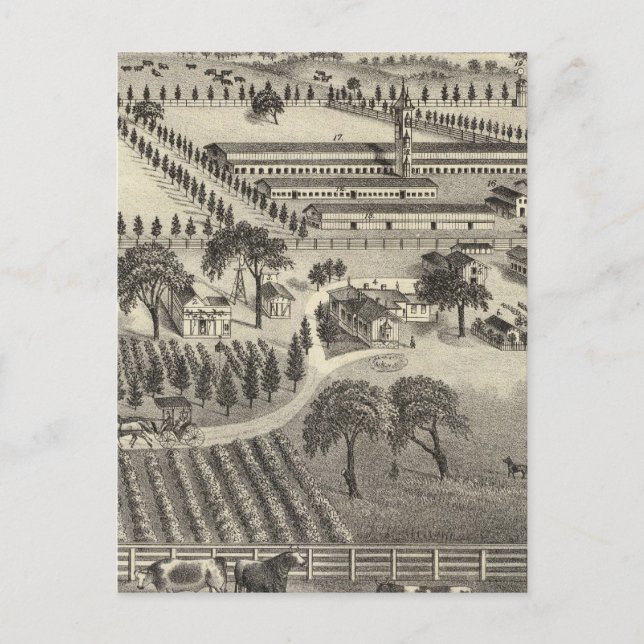 Cartão Postal Fazenda de Ayrshire (Frente)