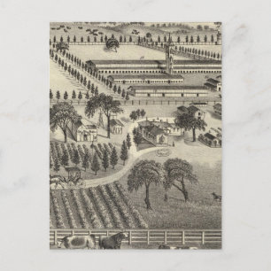 Cartão Postal Fazenda de Ayrshire