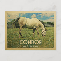 Fazenda de Cavalos Conroe Texas - Viagem Vintage