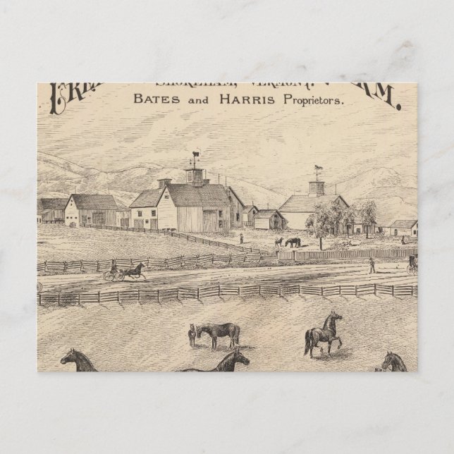 Cartão Postal Fazenda de Cream Hill Stock em Shoreham Vermont (Frente)