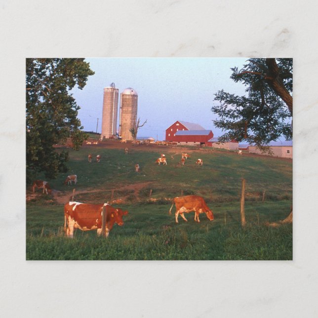 Cartão Postal Fazenda de leite (Frente)