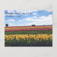 Fazenda de Tulipas de Sapato de Madeira, Woodburn,
