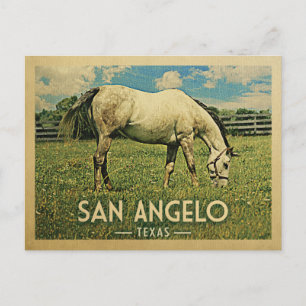 Cartão Postal Fazenda do Cavalo de San Angelo Texas - Viagens vi