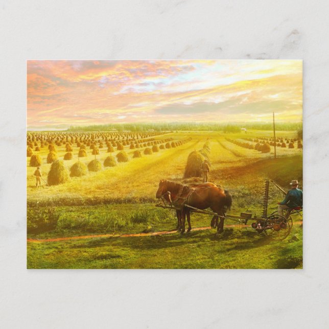 Cartão Postal Fazenda - Finlândia - Campo de esperança 1899 (Frente)