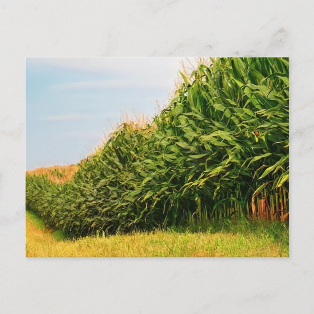 Cartão postal Fazenda Life USA Corn Crop (Frente)