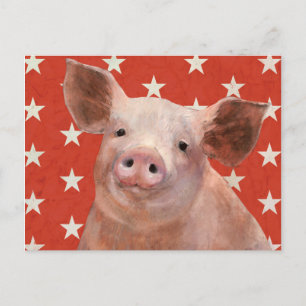Cartão Postal Fazenda Patriótica - Porco