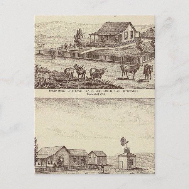 Cartão Postal Fazendas de ovelhas de Deer Creek (Frente)
