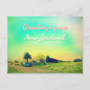 Cartão Postal Fazendas de ovinos da Nova Zelândia