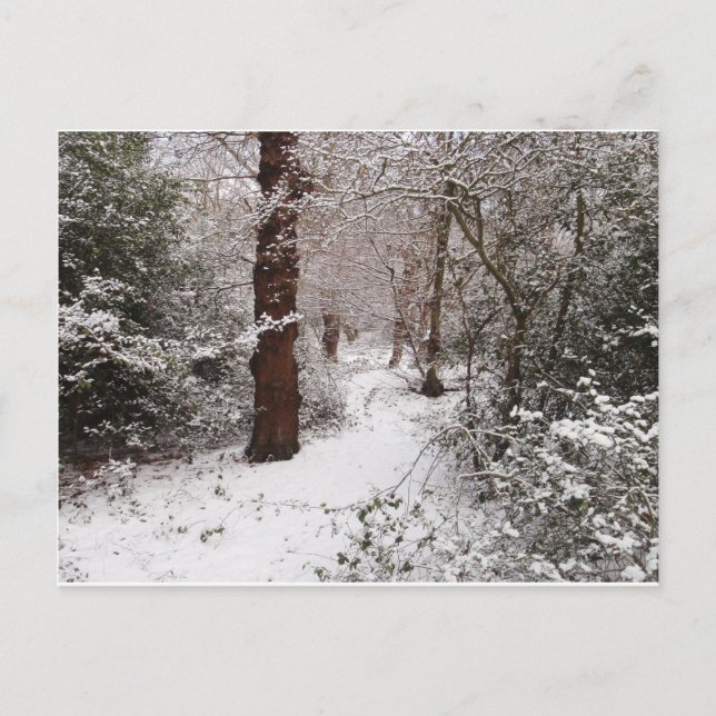 Cartão Postal Fazendo Floresta na neve. (Frente)