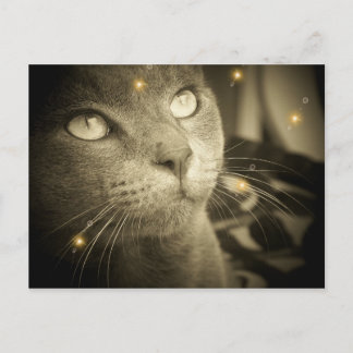 Cartão Postal Fazer a desejo