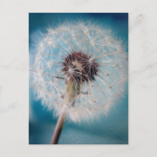 Cartão Postal Fazer um Cartão-Postal de Desejo