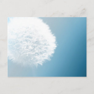 Cartão Postal Fazer Um Cartão-Postal Wish Dandelion