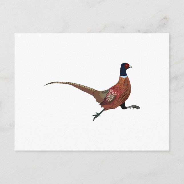 CARTÃO POSTAL FEASANT (Frente)