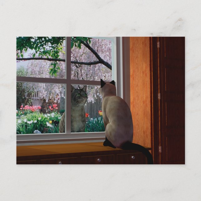 Cartão Postal Febre primavera (Frente)