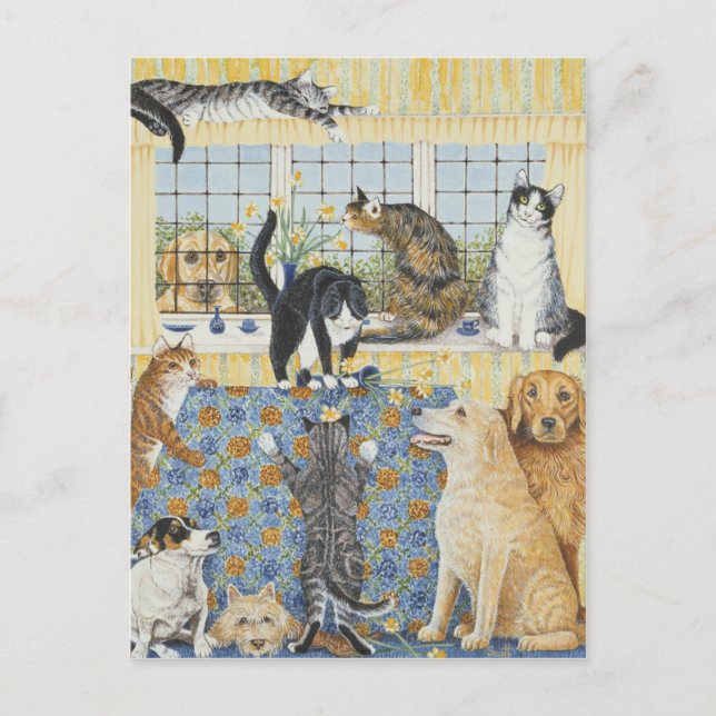 Cartão Postal Febre primavera (Frente)