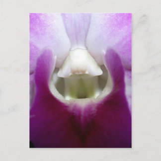 Cartão Postal fechado com a flor de orquídea