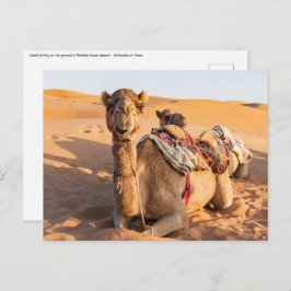 Cartão Postal Fechamento de Camel no deserto de Oman