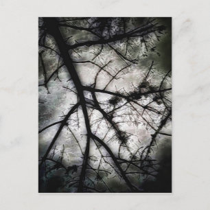 Cartão Postal Fechando em