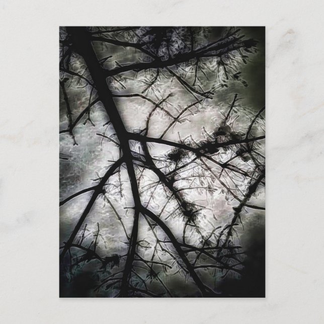 Cartão Postal Fechando em (Frente)