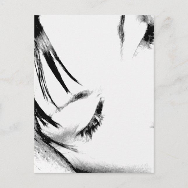 CARTÃO POSTAL FECHAR SEGUNDO (Frente)