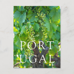 Cartão Postal Fecho Das Uvas De Maturação