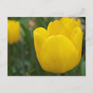 Cartão Postal Fecho e pessoal