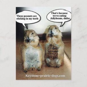 Cartão Postal Feijões de geléia