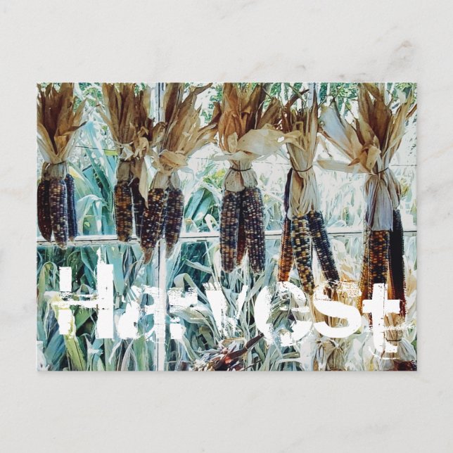 Cartão Postal Feira de Produtores da Temporada de Colheita (Frente)