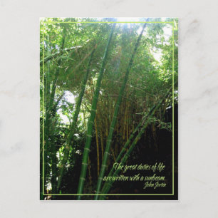 Cartão Postal Feixe