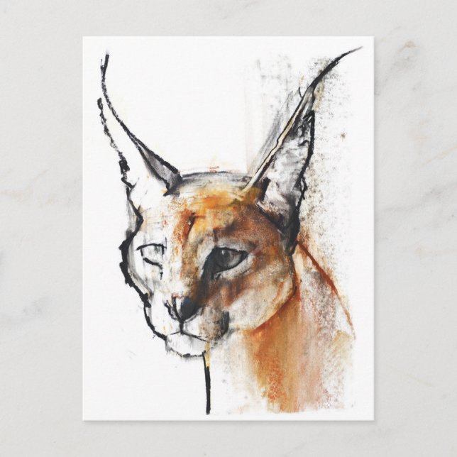 Cartão Postal Felina (Frente)