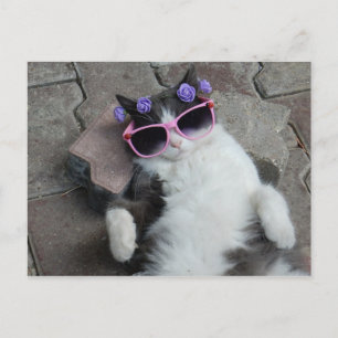 Cartão Postal Feline Diva