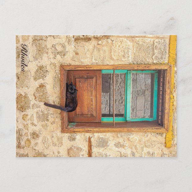 Cartão Postal Felino Grego (Frente)