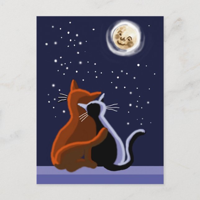 Cartão Postal Felinos (Frente)