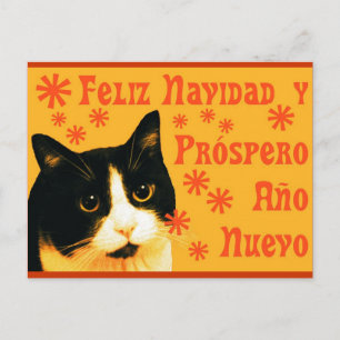 Cartão Postal Felix Navidad