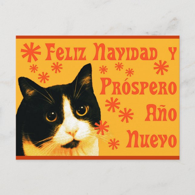 Cartão Postal Felix Navidad (Frente)