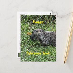 Cartão Postal Feliz 2 de fevereiro Cartões-postais personalizado