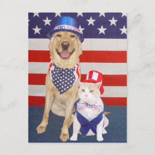 Cartão Postal Feliz 4 de julho!