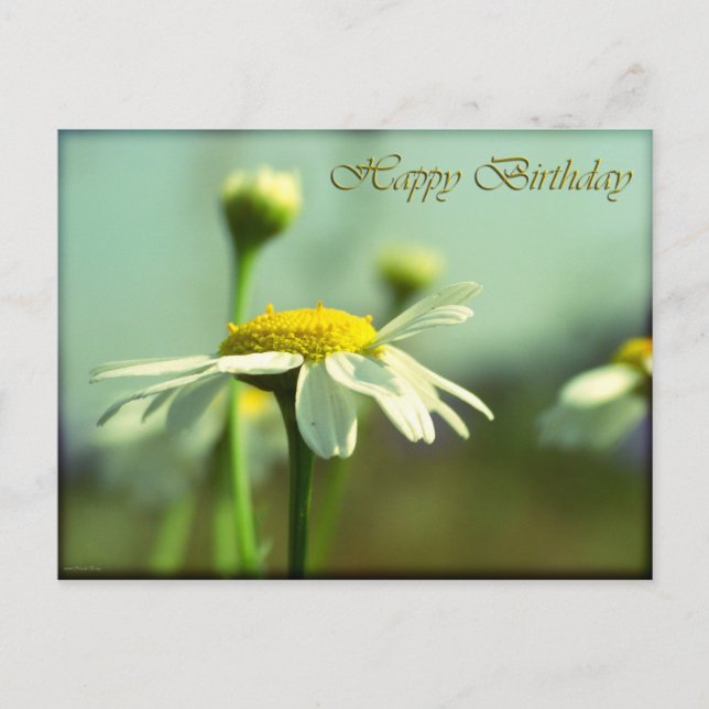 Cartão Postal Feliz aniversário (Frente)