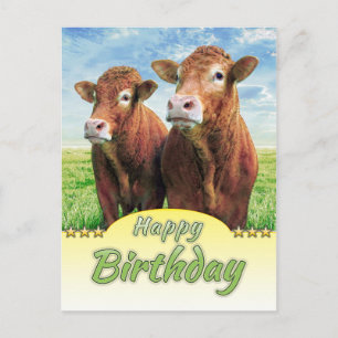 Cartão Postal Feliz aniversário