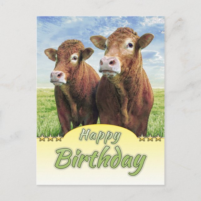 Cartão Postal Feliz aniversário (Frente)