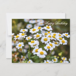 Cartão Postal Feliz Aniversário