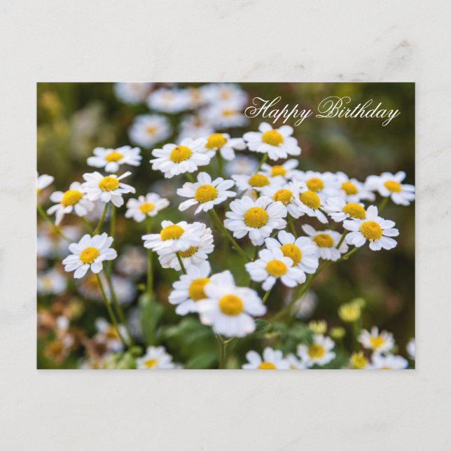 Cartão Postal Feliz Aniversário (Frente)